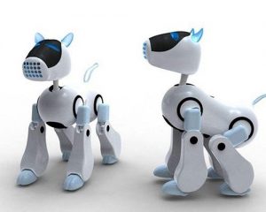 永盈会·[中国]官方网站